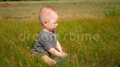 小男孩坐在草地上撕下青草。 夏天，快乐的小男孩在<strong>绿野</strong>上玩草。